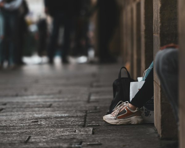 L'ethnobotanique : découvrir l'art ancestral des plantes rares et médicinales