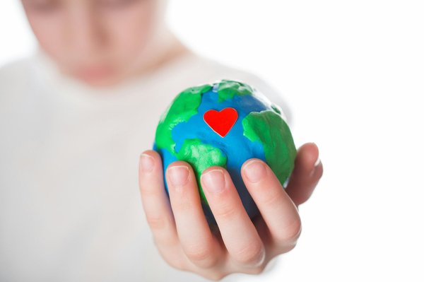 Le rôle des zoos et des réserves dans la protection des animaux